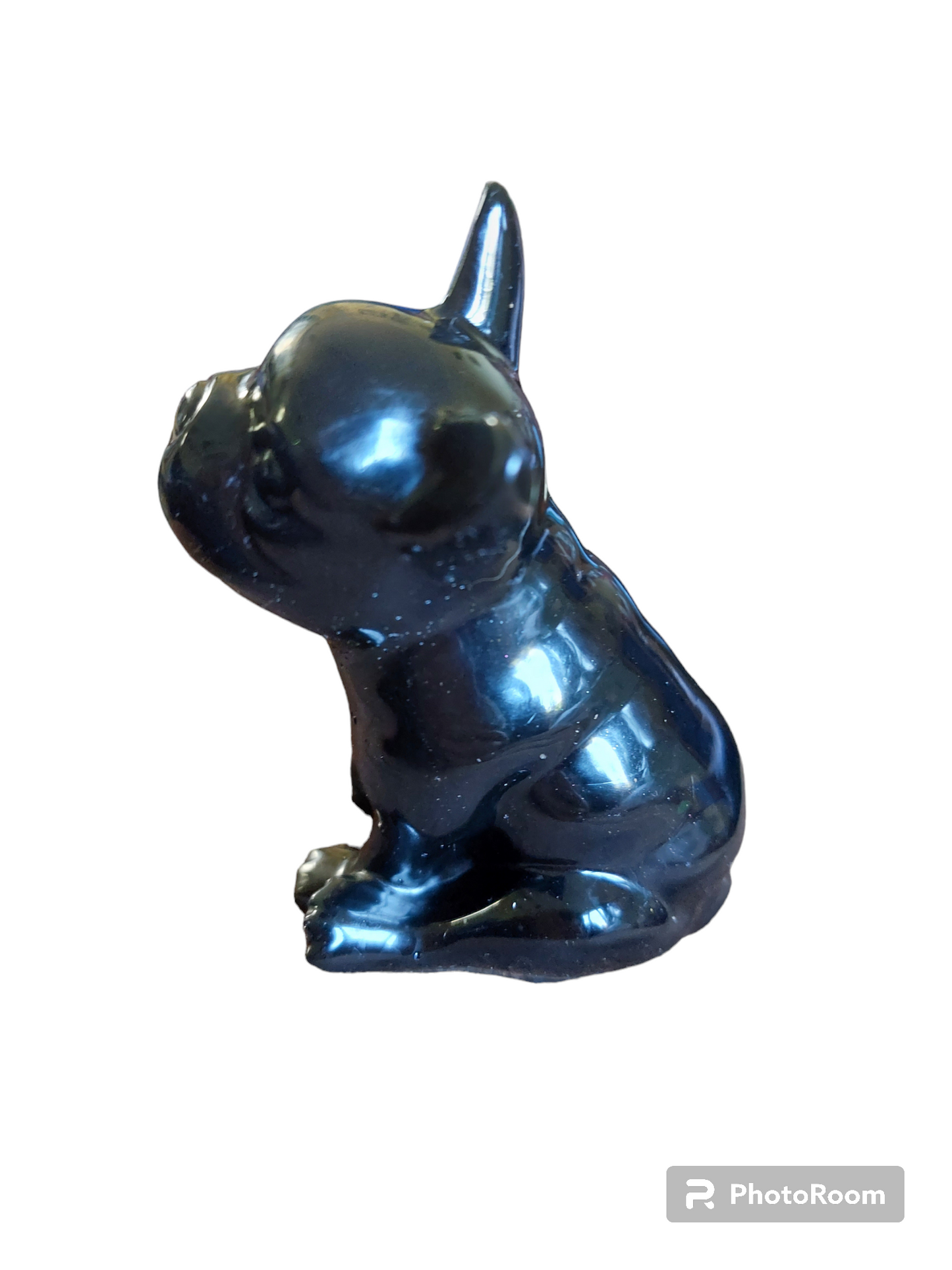 Boris The French Bull Dog