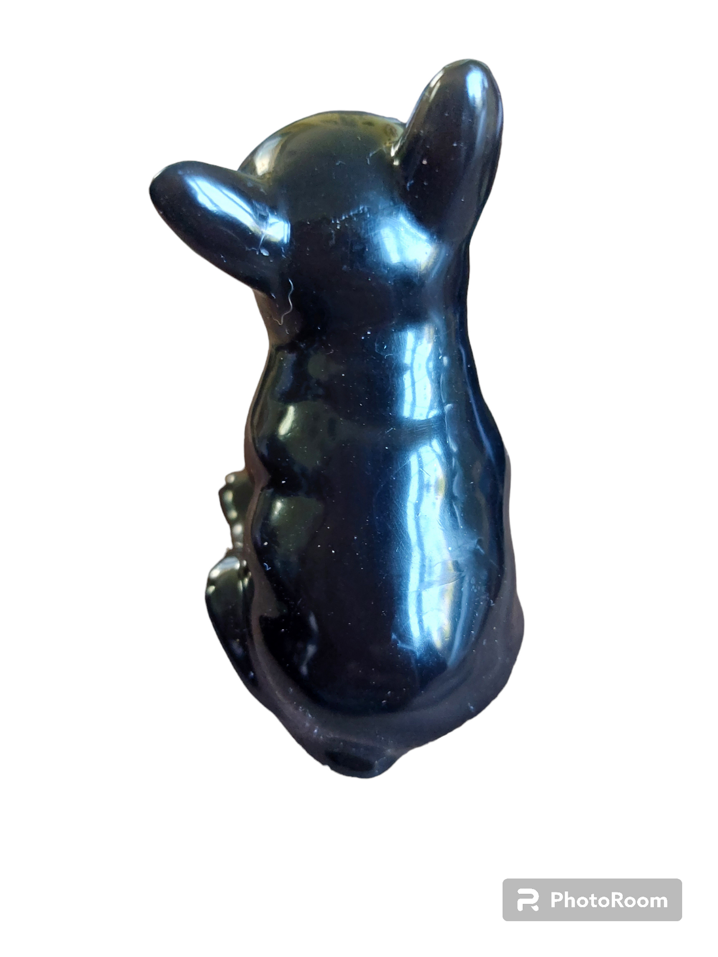 Boris The French Bull Dog