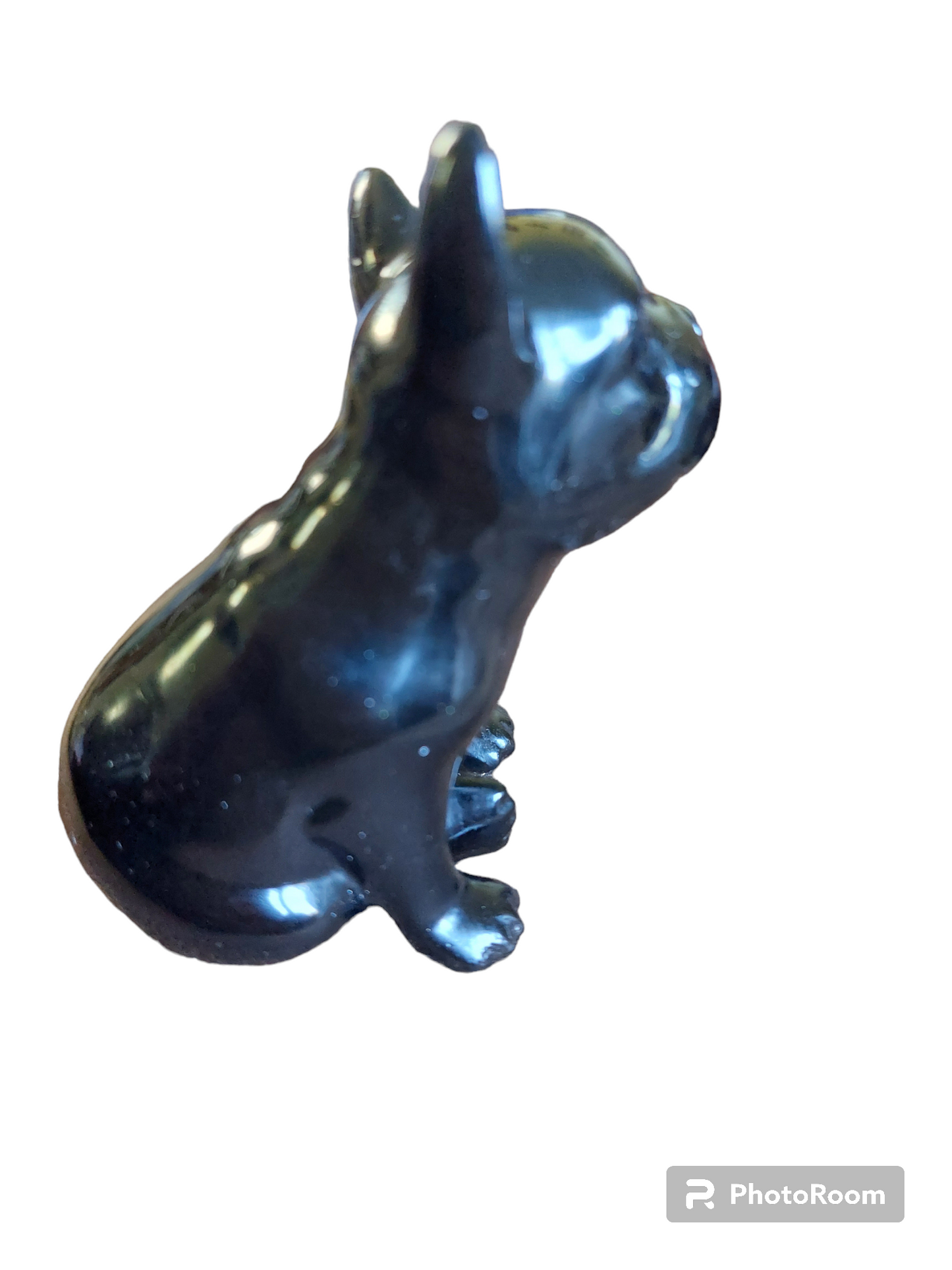 Boris The French Bull Dog