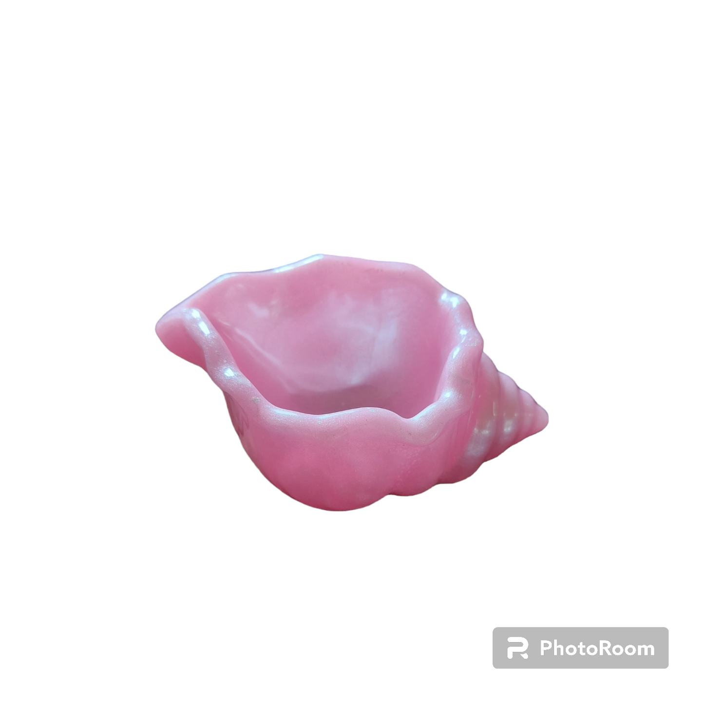 Shell trinket pot